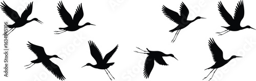 Flying bird silhouettes, long beak birds, graceful flight motion, avian vector illustration, dynamic wing positions, wildlife icon set, ornithology
