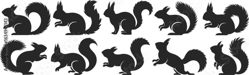 Squirrel silhouette set, black squirrel poses, bushy tail animal shapes, side profile squirrel vector, wildlife clipart, cad drawing flat vector illustration