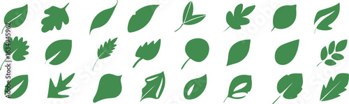 Green leaf silhouette set, botanical shape collection, nature foliage icons, diverse leaf designs, vector clipart bundle, plant illustration pack