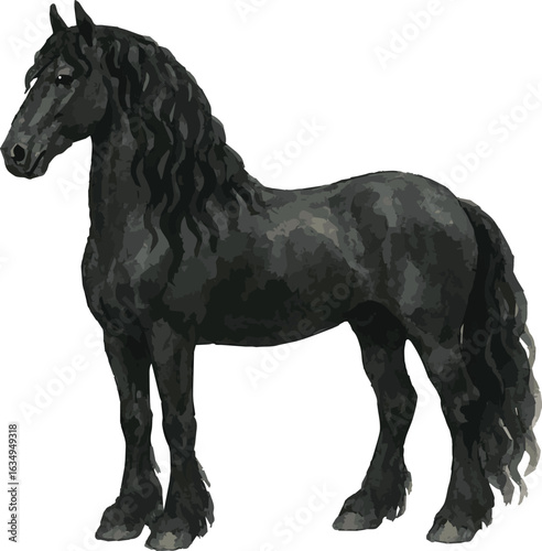 Bild auf Leinwand Vector adorable realistic watercolor illustration of a black Friesian Horse
