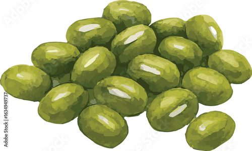 Vector realistic watercolor illustration of green mungo beans