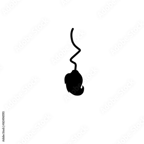 Halloween Broom Silhouette