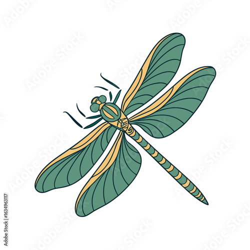 Golden ringed dragonfly vector on white background.02