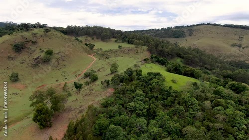 paisagem verde