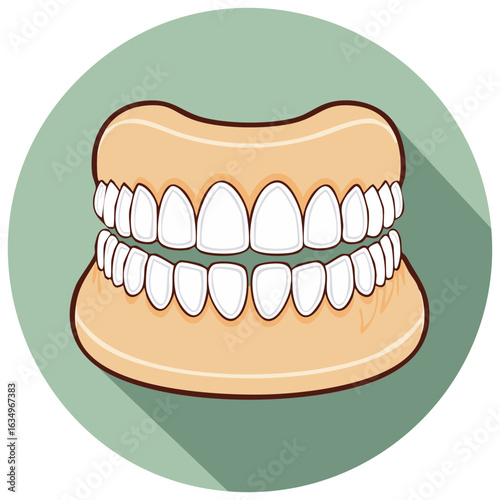 Flat design illustration of a full set of white dentures in a circular frame
