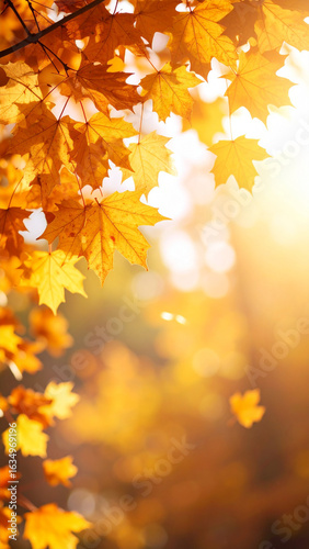 Beautiful autumn landscape with. Colorful foliage in the park. Falling leaves natural background
