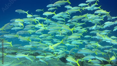 naufragio em alto mar