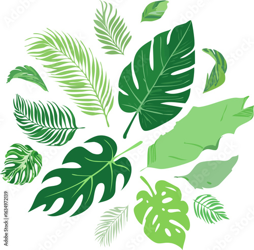 Vector Illustration of Tropical Green Leaves 1.