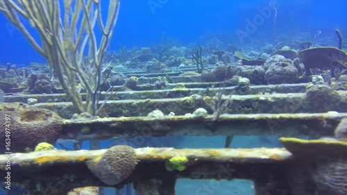 naufragio em alto mar