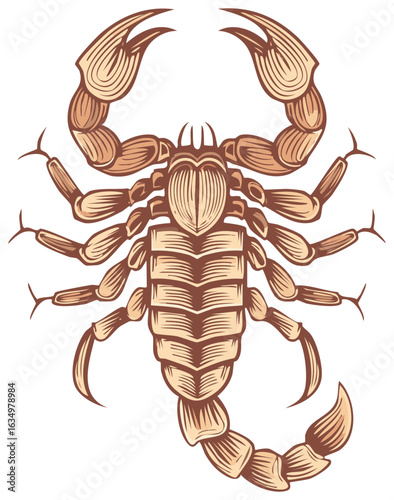 Vintage style detailed scorpion illustration with powerful claws and venomous stinger tail
