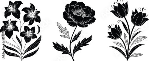 Botanical flower illustration set, lily peony tulip design, black floral vector, elegant nature motif, decorative plant silhouette artwork