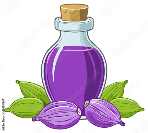Purple liquid in corked bottle with cardamom pods and leaves illustration