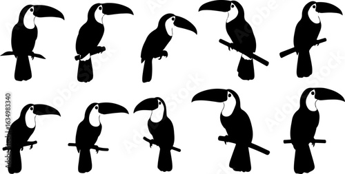 stylized toucan silhouettes: perched, profile views, black and white, graphic design elements, tropical bird collection.