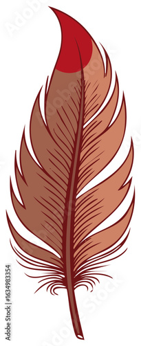 Graphic illustration of a feather with stylized design and red accented tip