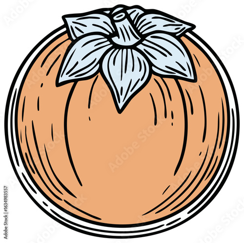 Persimmon fruit illustration. Fresh, ripe persimmon fruit in hand drawn style.