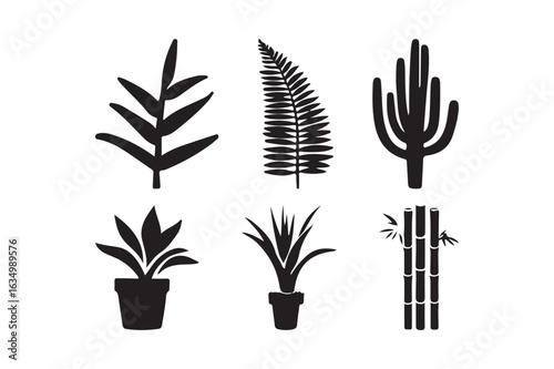 Collection of silhouetted houseplants and tropical leaves