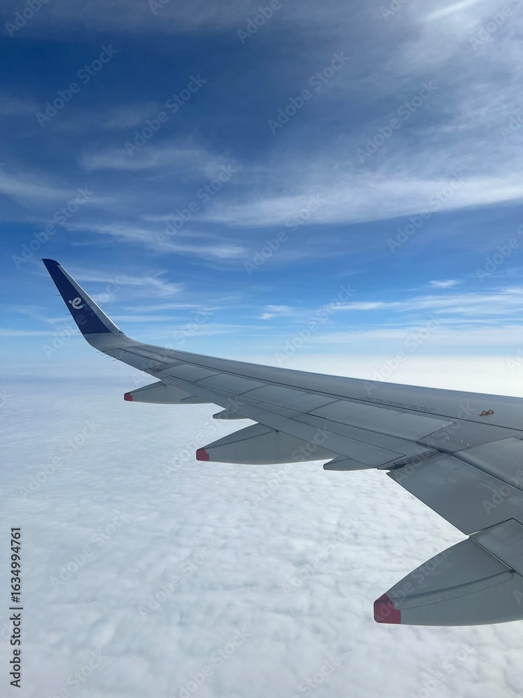 Fototapeta premium wing of airplane