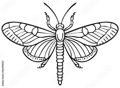 Decorative Black and White Butterfly Line Art Illustration