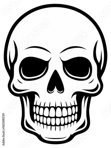 Striking detailed illustration of a human skull with dark eye sockets and grinning teeth