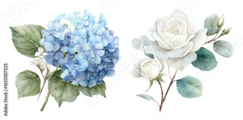 Floral watercolor illustration. Blue hydrangea and white rose offer delicate texture. Use for wedding invites, branding, stationery.