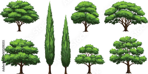 Cartoon tree collection, lush green trees, tall cypress trees, landscape elements, forest foliage, nature clipart, botanical assets, summer illustration, eco-friendly design