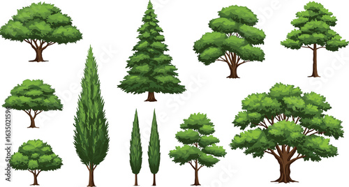 Green cartoon trees, landscape tree collection, nature illustration, leafy plants, forest tree set, cypress trees, outdoor clipart, eco foliage art