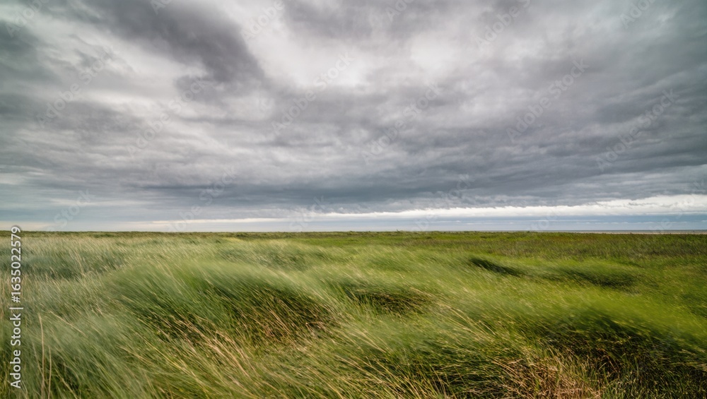Obraz premium Vast Green Fields Under Dramatic Cloudy Sky at Twilight in Rural Landscape