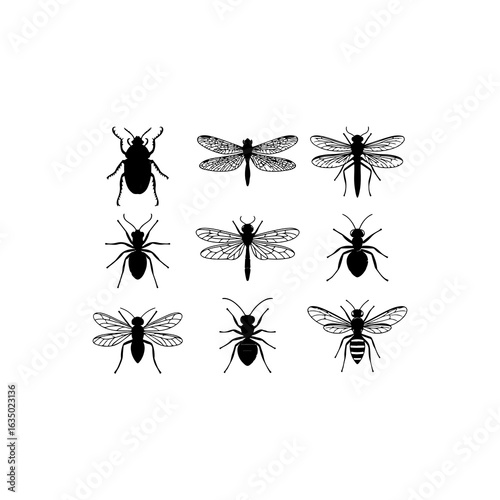 A set of 8 black fill only fantasy-themed creatures griffins  hydras, dragons and phoenixes silhouetted with realistic anatomical features