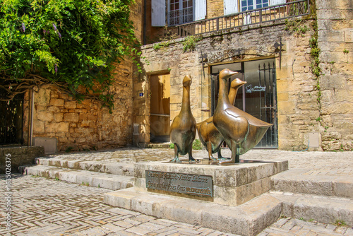 Fotografia les oies de Satlat