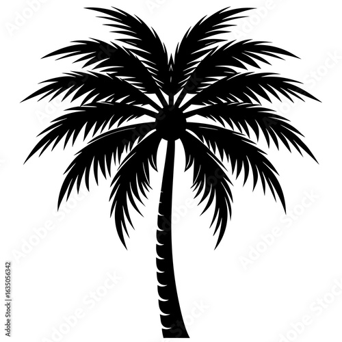 Black Silhouette of a Palm Tree with Fronds and Trunk on a White Background tropical nature