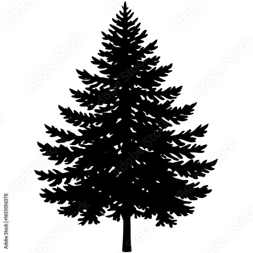 Black Silhouette of a Pine Tree on a White Background evergreen conifer