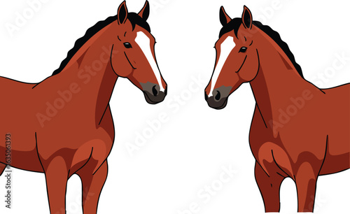 Two brown horses facing each other with white face markings vector illustration natural animal design 