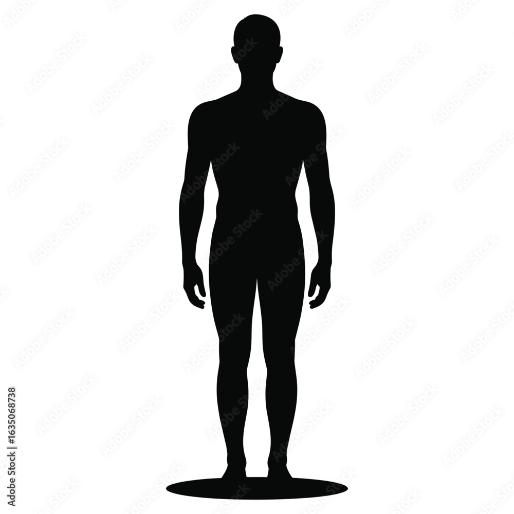 Fototapeta premium Full body male human figure standing in silhouette