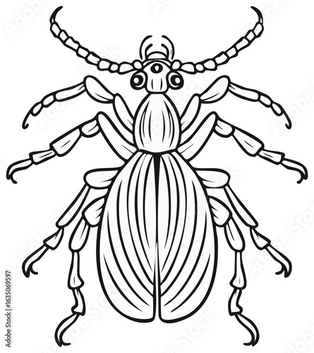 Beetle Outline Illustration of a Stylized Insect with Detailed Legs and Antennae for Entomology Studies
