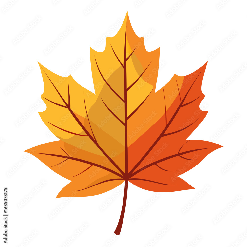 Fototapeta premium Autumn leaf no background 