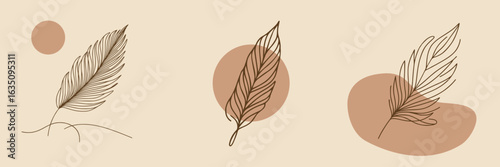 Abstract botanical drawing with three leaves and circles