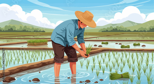 Farmer Planting Rice Seedlings in Paddy Field