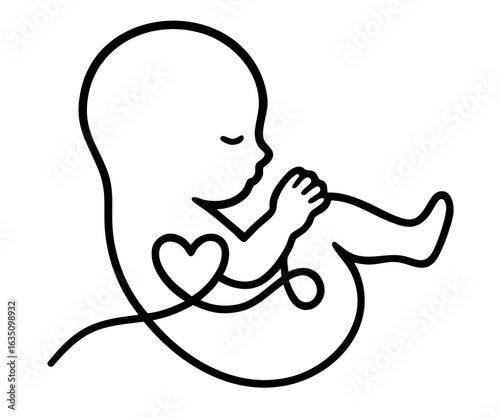 Fetus with heart-shaped umbilical cord — pregnancy symbol of maternal love, prenatal care, life beginning, motherhood, anatomy and fetal development.

