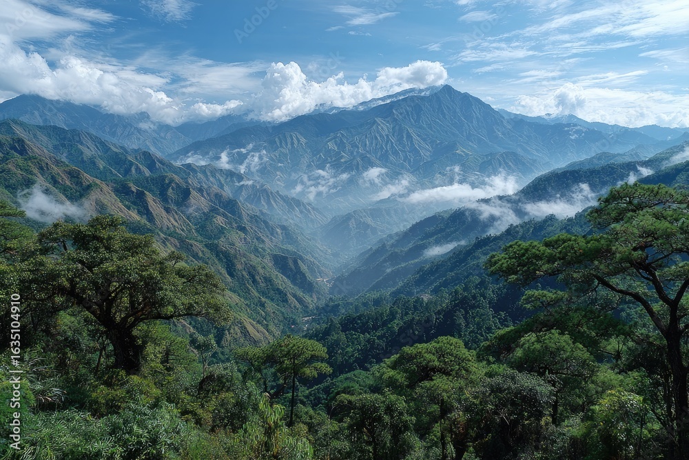 Fototapeta premium Lush mountain valley vista under a partly cloudy sky