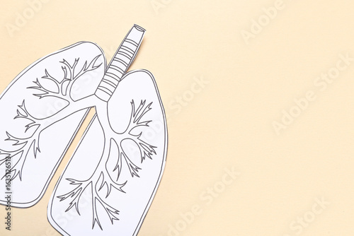 Drawn paper lungs on beige ...