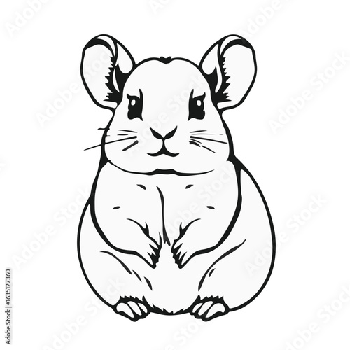 Chinchilla Animal Icon Black