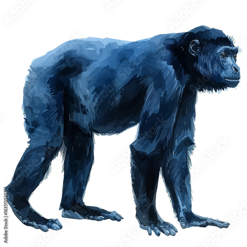 Gibbon, watercolor painting vector, isolated on a white background.