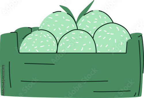 Five light green speckled fruits with leaves in a dark green crate.