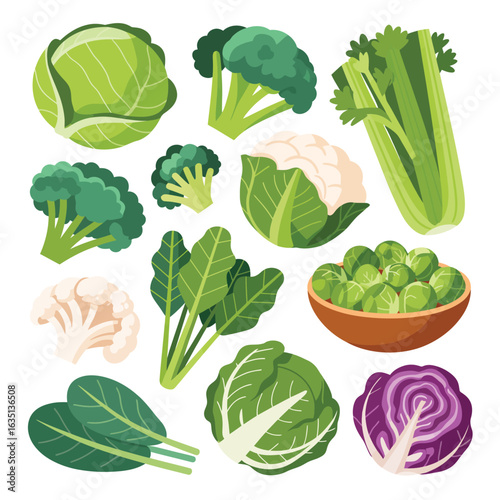 Assortment of fresh green and white vegetables including cabbage broccoli cauliflower and celery
