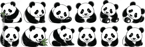 Cartoon panda illustration set, cute animal poses, bamboo holding, sitting lying expressions, black white markings, vector graphic, playful character art