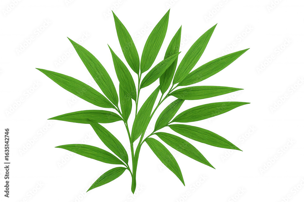 Obraz premium Green bamboo leaves spreading across transparent backdrop, bringing natural vibrancy and refreshing design element with clean visual texture