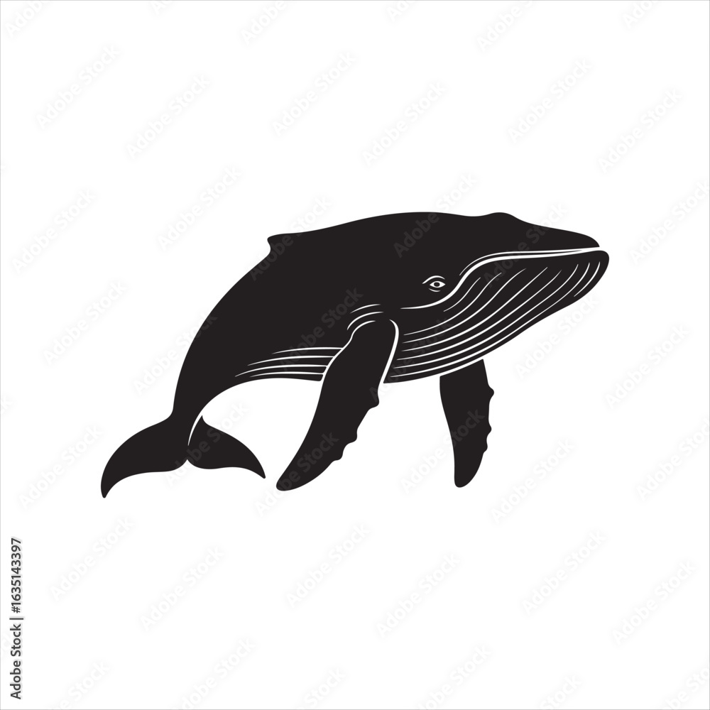 Fototapeta premium Black humpback whale illustration with white details marine life ocean