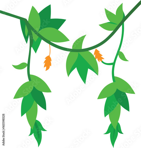 Green climbing ivy creeper branch isolated on white background