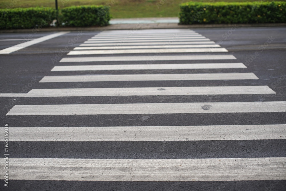 Obraz premium Empty pedestrian crosswalk on an asphalt road with green bushes, symbolizing safety, urban planning, and movement. Perfect for city life, infrastructure, or traffic concepts.