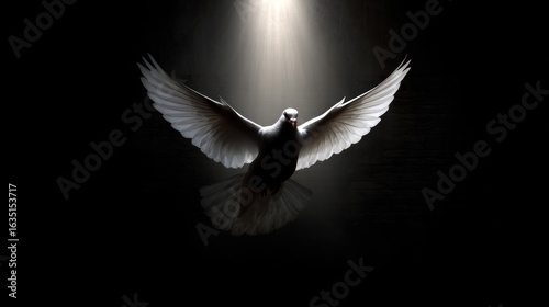 Dove in flight under spotlight